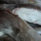 4 Resep Kepala Ikan Manyung, dari Limbah Menjadi Sajian Istimewa