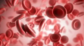 Hematokrit: Pentingnya Kadar Sel Darah Merah dan Kapan Perlu Diperiksa
