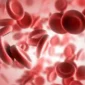 Hematokrit: Pentingnya Kadar Sel Darah Merah dan Kapan Perlu Diperiksa