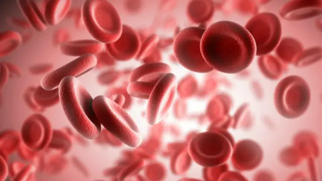 Hematokrit: Pentingnya Kadar Sel Darah Merah dan Kapan Perlu Diperiksa