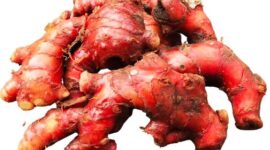 Manfaat Jahe Merah