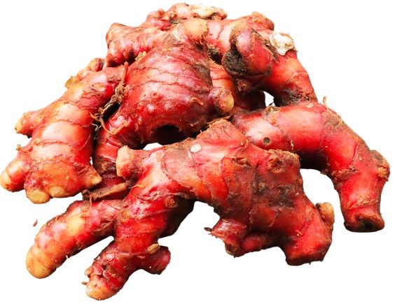Jahe merah sangat bermanfaat bagi penderita arthritis dan osteoarthritis yang sering mengalami nyeri sendi akibat peradangan.