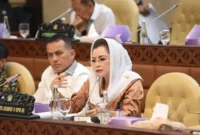 Gerindra Ungkap Peran PDIP di Balik Rencana Kenaikan PPN 12 Persen
