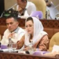 Gerindra Ungkap Peran PDIP di Balik Rencana Kenaikan PPN 12 Persen