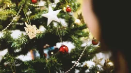 Asal Usul Pohon Natal: Jejak Tradisi yang Bermula di Jerman