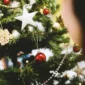Asal Usul Pohon Natal: Jejak Tradisi yang Bermula di Jerman