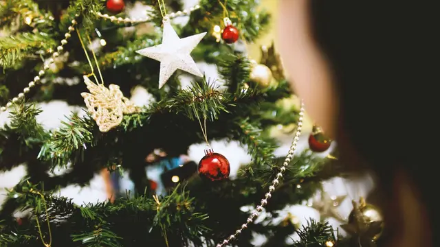 Asal Usul Pohon Natal: Jejak Tradisi yang Bermula di Jerman