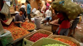 Jelang Nataru, Mentan Andi Amran Tegaskan Stok Pangan Aman dan Harga Stabil