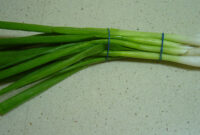 Bawang daun