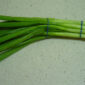 Bawang daun