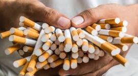 Rokok