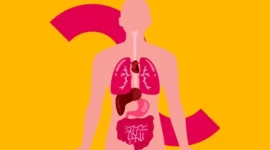 Metabolisme