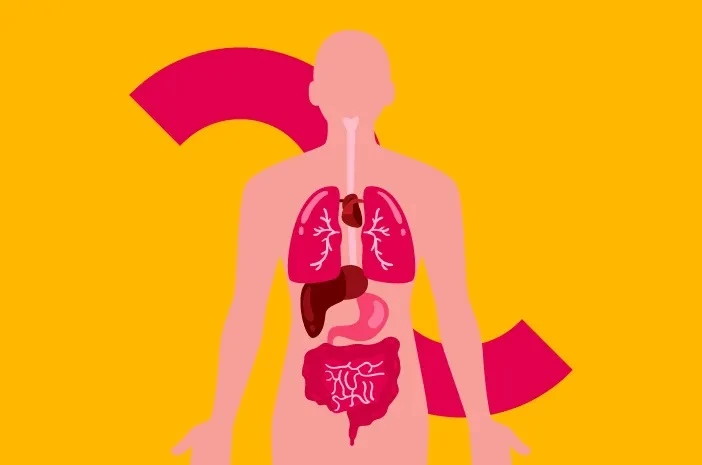 Metabolisme