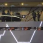 Investor Pasar Modal Indonesia Mencapai 15 Juta SID hingga Akhir Januari