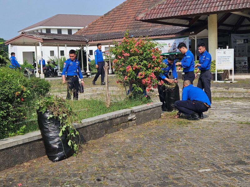 May Day