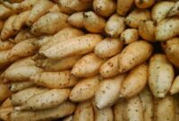 Ubi Cilembu