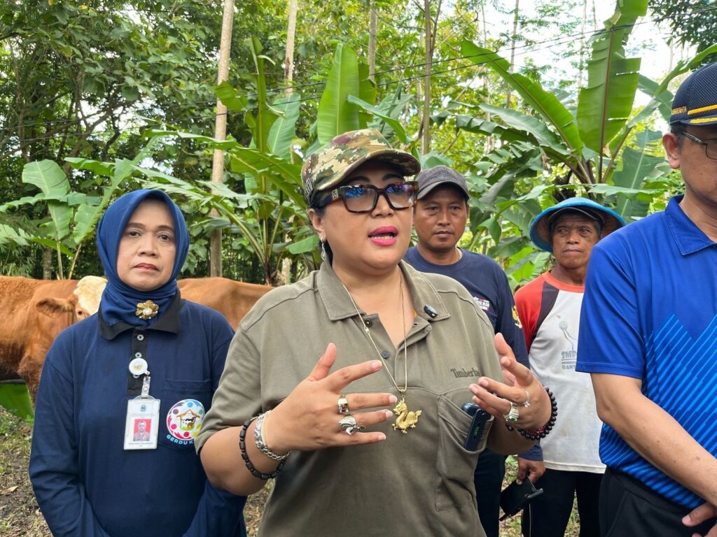 Gunungkidul