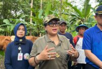 Gunungkidul 