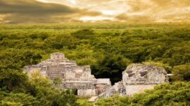 Suku Maya