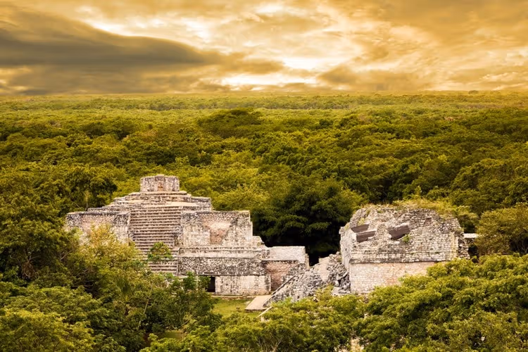 Suku Maya