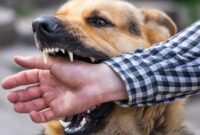 Rabies: Penyakit Mematikan yang Masih Mengintai