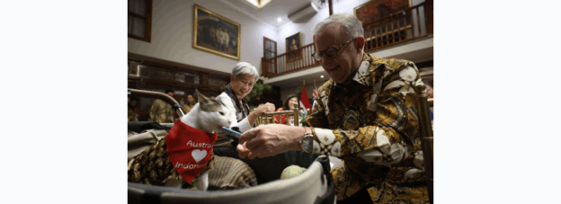 Bobby Si Kucing Diplomatik: Makan Malam Prabowo-Albanese Jadi Panggung Si Empus