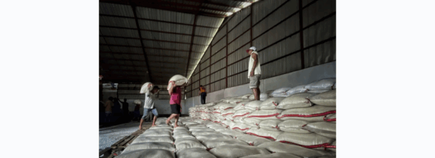 Dari Sawah Nusantara ke Negeri Jiran dan Palestina: Indonesia Bersiap Jadi “Lumbung Dunia”