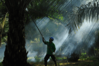 Sampoerna Agro