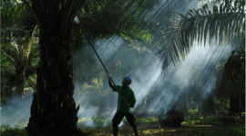 Sampoerna Agro