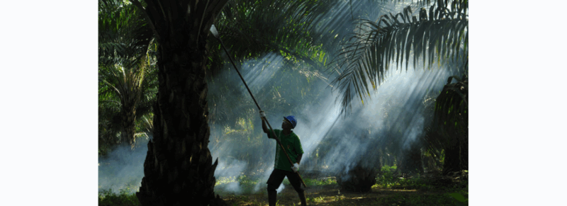 Sampoerna Agro