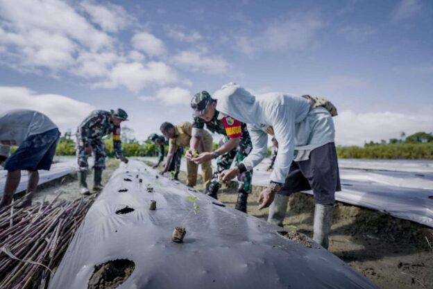 Kodim 1710/Mimika dan Warga Kampung Naena Tanam Semangka Dukung Ketahanan Pangan