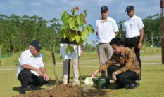 Wapres Gibran Tanam Pohon Ulin di IKN sebagai Simbol Komitmen Pembangunan Hijau