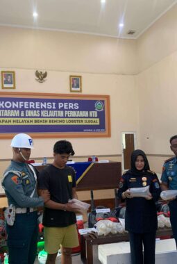 TNI AL Amankan Upaya Penyelundupan Puluhan Ribu Benih Lobster di Sumbawa