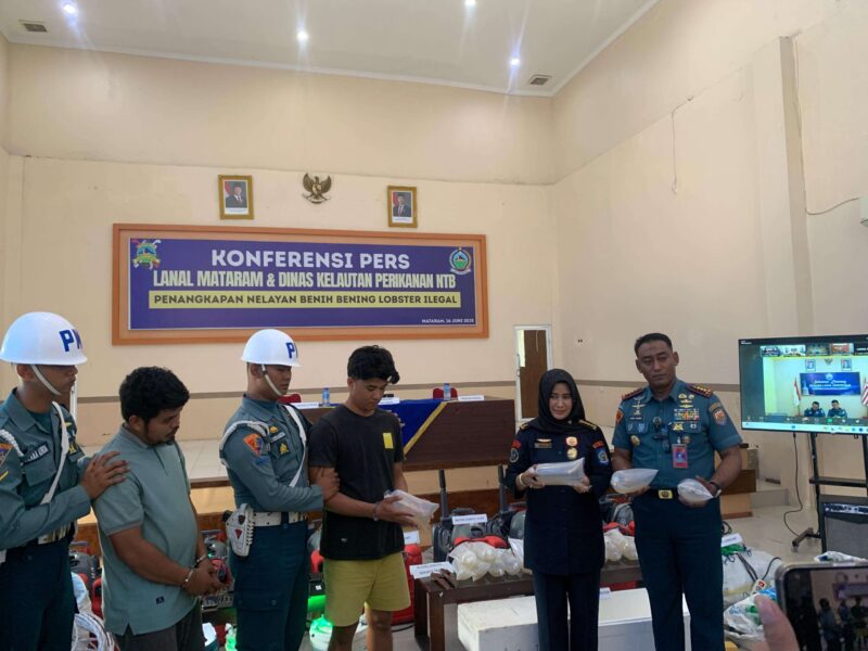 TNI AL Amankan Upaya Penyelundupan Puluhan Ribu Benih Lobster di Sumbawa