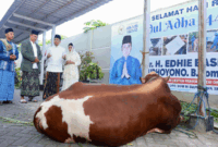 Iduladha di Pacitan, Ibas dan Aliya Yudhoyono Serahkan Hewan Kurban untuk Warga