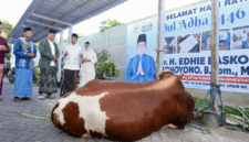 Iduladha di Pacitan, Ibas dan Aliya Yudhoyono Serahkan Hewan Kurban untuk Warga