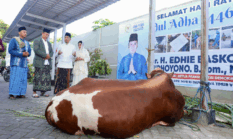 Iduladha di Pacitan, Ibas dan Aliya Yudhoyono Serahkan Hewan Kurban untuk Warga