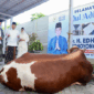 Iduladha di Pacitan, Ibas dan Aliya Yudhoyono Serahkan Hewan Kurban untuk Warga