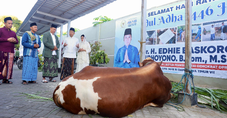 Iduladha di Pacitan, Ibas dan Aliya Yudhoyono Serahkan Hewan Kurban untuk Warga
