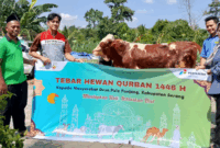 Pertamina Pastikan Pasokan Energi Aman Saat Iduladha, Salurkan Ribuan Hewan Kurban ke Seluruh Indonesia