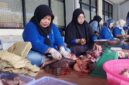 Cara Aman Menikmati Daging Kurban: Ini Kata Ahli Gizi