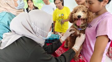 Rayakan Hari Santo Fransiskus, Gereja Katolik Muntilan Gelar Pemberkatan Hewan dan Tanaman